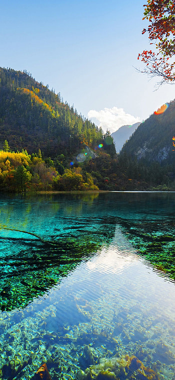 x nature and collection for & Mobile. , Nature HD phone wallpaper