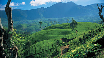 Sri Lanka , Top HD wallpaper