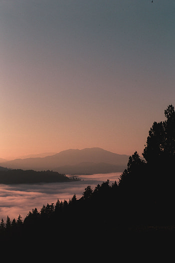 Nature, Mountains, Twilight, Forest, Fog, Dusk, Outlines HD phone wallpaper