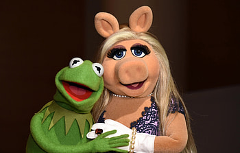 Miss Piggy, Kermit the Frog HD wallpaper