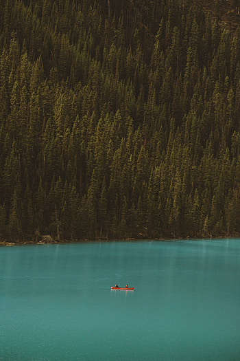 Nature, Lake, Shore, Bank, Forest, Boat, Slope HD phone wallpaper