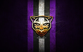 Panther City Lacrosse Club, golden logo, NLL, violet metal background, american lacrosse team, Panther City Lacrosse Club logo, National Lacrosse League, lacrosse HD wallpaper