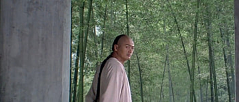 crouching tiger hidden dragon, crouching, dragon, hidden, tiger HD wallpaper