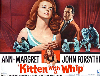 Classic Movies - Kitten With A Whip (1964), Kitten With A Whip, John Forsythe, Classic Movies, Ann Margaret HD wallpaper