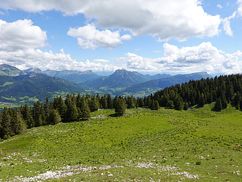 Landscape, Nature, Trees, Grass, Mountains, Meadow HD wallpaper