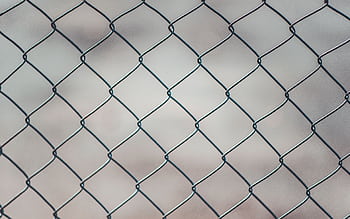 Detailed closeup of a metal chain-link fence with a blurred neutral background, perfect for textures and overlays. HD wallpaper