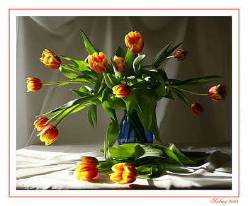 blue vase tulips, blue, art , still life, vase, beautiful, nature, flowers, tulips HD wallpaper