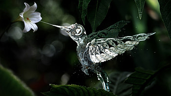 Mechanical Bird, birds, creative HD wallpaper