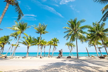 Tropical Summer Beach, Beach, Tropical, Nature, Summer HD wallpaper