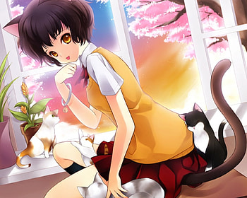 Neko Kitty, kitten, animal, nekomimi, yellow eyes, kitty, cute, short hair, adorable, female, brown eyes, sweet, window, neko mimi, girl, cat, adore, tail, tree, kawaii, anime girl, plant, neko, anime, light, ears, brown hair, lovely HD wallpaper