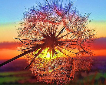 Beautiful Sunset, cool, beautiful, , sunset HD wallpaper