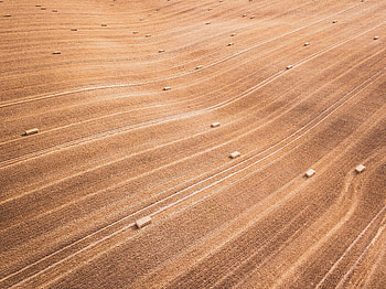 Nature, Lines, Field, Stripes, Streaks, Dry HD wallpaper