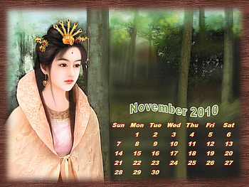 November 2010 calendar girl, november 2010, girl, calendar, collage HD wallpaper