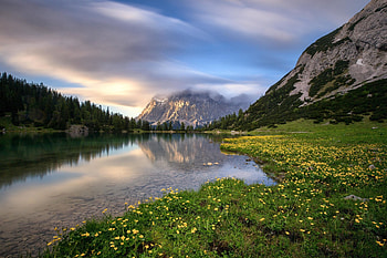 Lake Reflection, Lake, Nature, Reflection, flower HD wallpaper