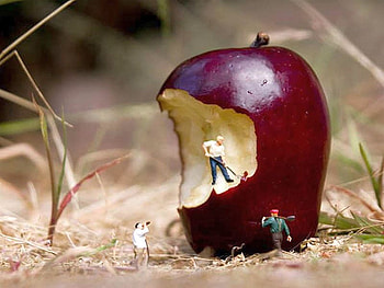 Apple--Manipulation, cool, apple, manipulation HD wallpaper
