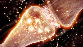 Cell Biology HD wallpaper