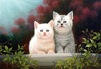 Looking for Birds, looking, kitten, cats, animals HD wallpaper