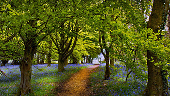 3840 x 2160 spring , Nature in bloom, Vibrant colors, Captivating scenes HD wallpaper