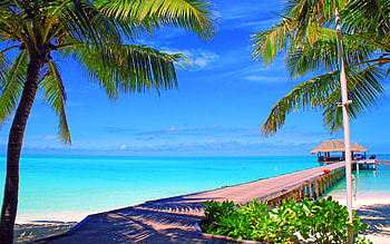 Tropical beach, Shore, Sea, Tropical, Palm trees, Pier, Clouds HD wallpaper