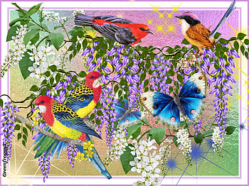 BIRD COLLAGE, ART, COLLAGE, ABSTRACT, BIRD HD wallpaper