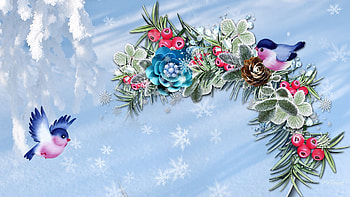 Winter So Sweet, blue, winter, frost, birds, feliz navidad, whimiscal, berries, cute, swag, collage, cones, snow, christmas, flowers HD wallpaper