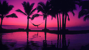 Get high quality victoria secret tumblr HD wallpaper