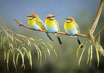 Bee Eaters Afternoon, birds, painting, sitting, animals HD wallpaper