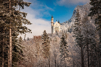 Bavaria Neuschwanstein Castle, Bavaria, Nature, Castle, Neuschwanstein HD wallpaper