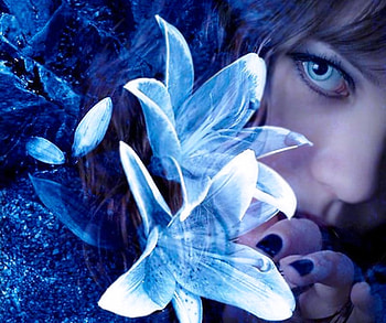 Blue, eyes, girl, model HD wallpaper