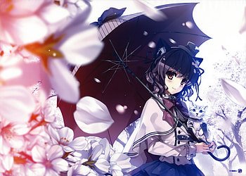Sweet Neko Girl, blue, umbrella, black, kitty, cute, dress, beauty, petals, sweet, white, girl, cat, beautiful, tie, purple, pink, neko, anime, pretty, flowers, lovely HD wallpaper