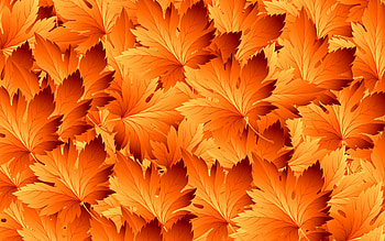 orange leaves, , macro, leaves textures, autumn leaves, background with leaves, vector textures, leaves patterns, leaf textures, natural textures HD wallpaper