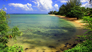 windows 7 nature greatb HD wallpaper