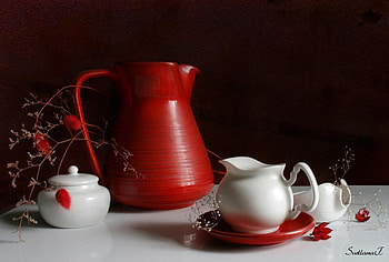 Red And White, table, creamer, white, colours, twig, cup, still life, sugar bowl, pitcher, red, saucer HD wallpaper