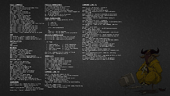 Kali Linux – The Linux Terminal – Linux tutorials . HD wallpaper