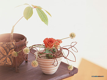 Side Table Trinkets, chair, table, floral, vase, planter, rose, simple, leaves, plant, green, ornament, bowl, display HD wallpaper