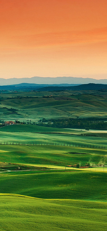 Grassland, Nature's beauty, Countryside charm, Inspiring landscapes HD phone wallpaper