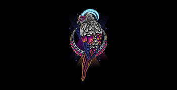 Retro Wave, Parrot, Animal, Artistic, Bird HD wallpaper