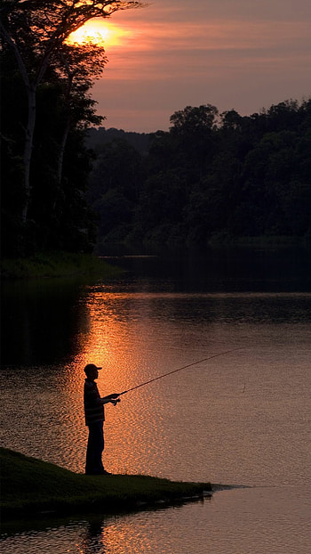 Fisherman, Artistic expressions, Fishing passion, Outdoor lifestyle HD phone wallpaper
