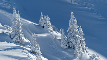 Snow, , Winter HD wallpaper