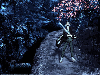 Midnight, bleach, kisuke, cherry blossom, uruhara HD wallpaper