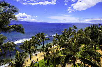 Hawaii, Sea, , Beach, Cloud, Palm Tree, Sky HD wallpaper