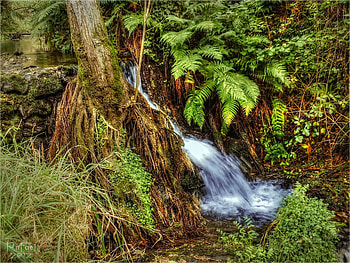 Nature, Creek, Brook, River HD wallpaper