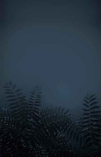 Leaves, Plant, Dark, Branches HD phone wallpaper
