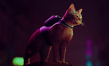 Stray game, , Captivating backgrounds, Artistic visuals HD wallpaper