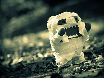 Domo ( Mummy ), mummy, cartoon, domo, holloween, cute HD wallpaper