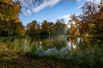 Nature, Trees, Summer, Pond, Netherlands, De Haar Castle Park HD wallpaper