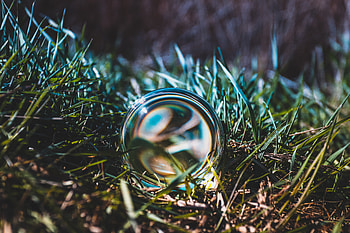 Grass, Macro, Close-Up, Glass, Ball HD wallpaper