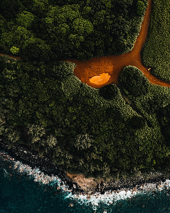 Nature, Rivers, Trees, View From Above, Coast HD phone wallpaper