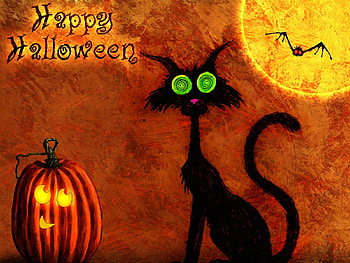 Holidays, Cats, Halloween HD wallpaper