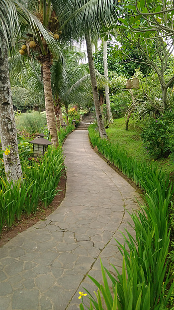 Way to relaxing, garden, graphy, nature HD phone wallpaper